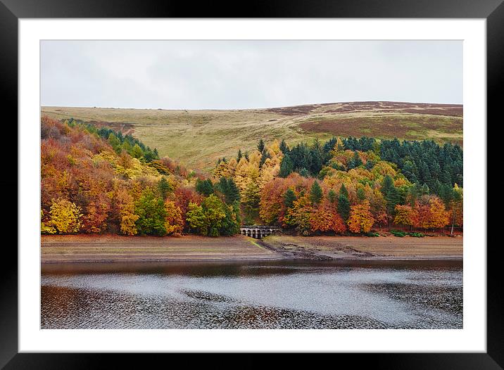 Autumnal trees at Derwent Reservoir. Derbyshire, U Framed Mounted Print by Liam Grant
