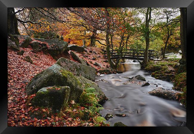 Autumnal woodland. Padley Gorge, Derbyshire, UK. Framed Print by Liam Grant