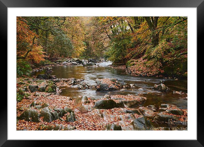 Autumnal trees and leaves along the River Esk. Esk Framed Mounted Print by Liam Grant