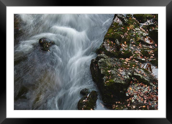 Autumnal leaves along the River Esk. Eskdale, Cumb Framed Mounted Print by Liam Grant