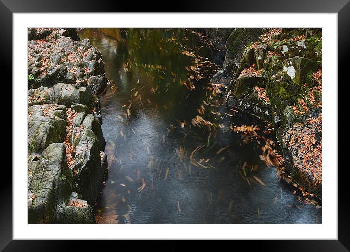 Autumnal leaves along the River Esk. Eskdale, Cumb Framed Mounted Print by Liam Grant