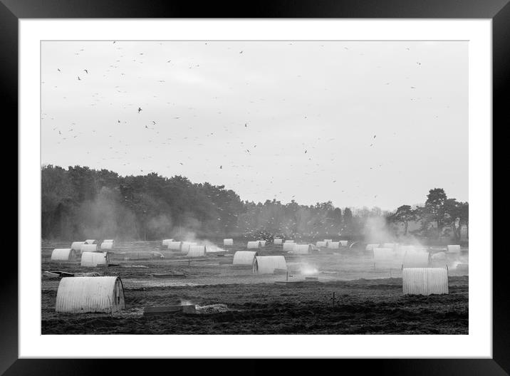 Burning old straw bedding on a pig farm. Norfolk,  Framed Mounted Print by Liam Grant