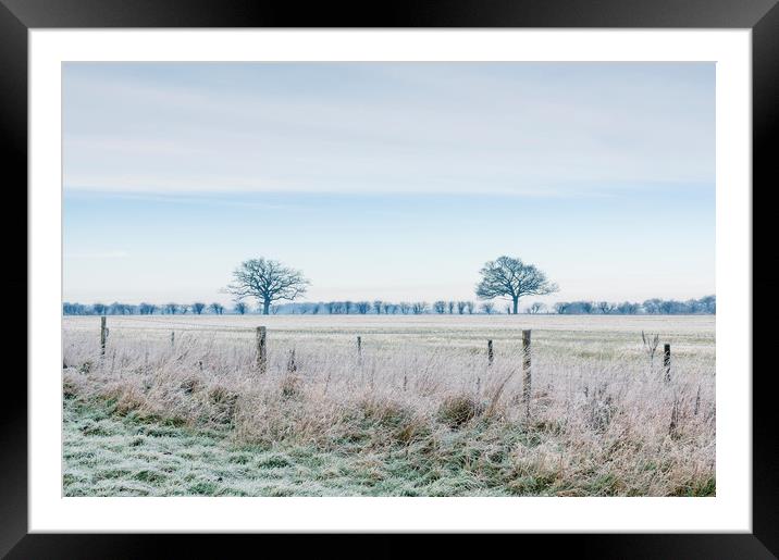 Rural field covered in frost. Norfolk, UK. Framed Mounted Print by Liam Grant