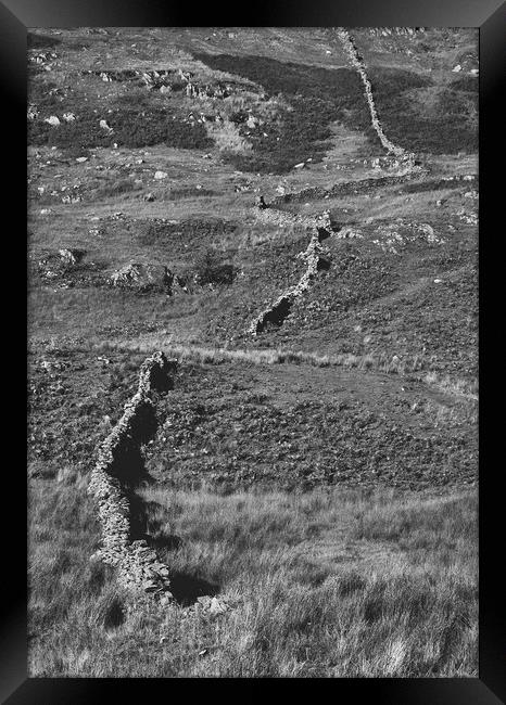 Drystone wall on a hillside. Cumbria, UK Framed Print by Liam Grant