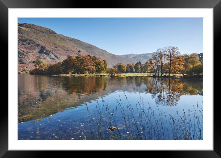 Reflections and autumnal colour. Ullswater, Cumbri Framed Mounted Print by Liam Grant