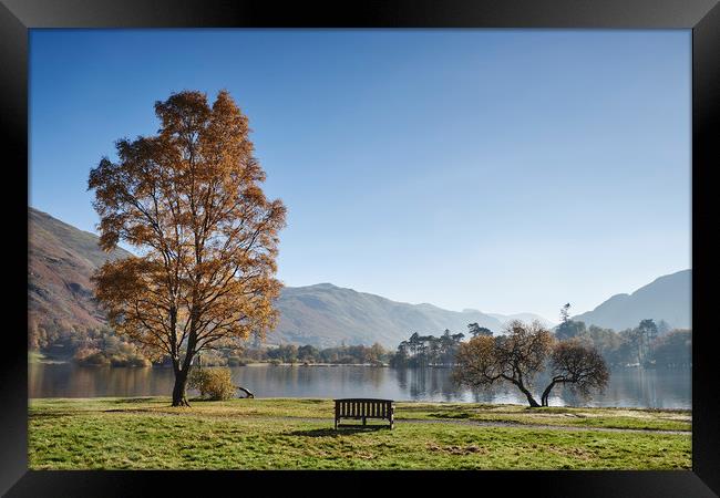 Bench and autumnal colour. Ullswater, Cumbria, UK. Framed Print by Liam Grant