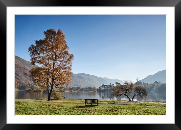 Bench and autumnal colour. Ullswater, Cumbria, UK. Framed Mounted Print by Liam Grant