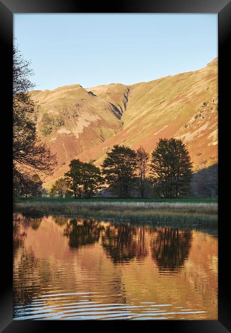 Golden reflections. Brothers Water, Cumbria, UK. Framed Print by Liam Grant