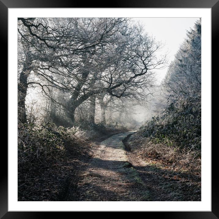 Rays of sunlight on a frost covered track through  Framed Mounted Print by Liam Grant