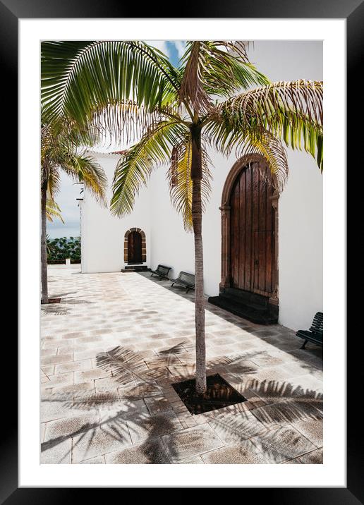 Palm tree growing in the street. La Palma, Canary  Framed Mounted Print by Liam Grant