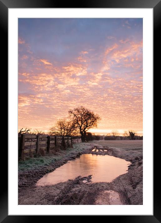 Frozen farm track at sunrise. Cressingham, Norfolk Framed Mounted Print by Liam Grant