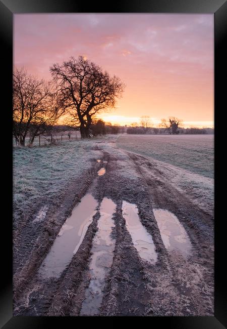 Frozen farm track at sunrise. Cressingham, Norfolk Framed Print by Liam Grant