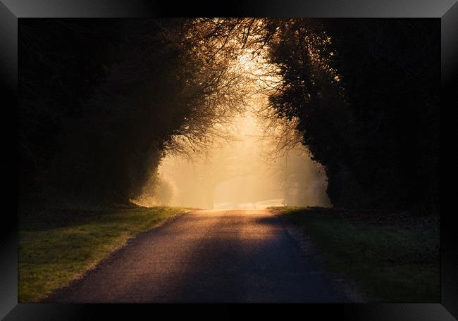 Sunrise through mist on remote rural road. Hilboro Framed Print by Liam Grant