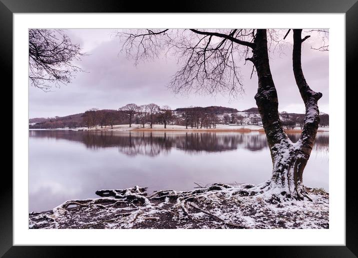 Snow and reflections on Esthwaite Water at dawn. C Framed Mounted Print by Liam Grant