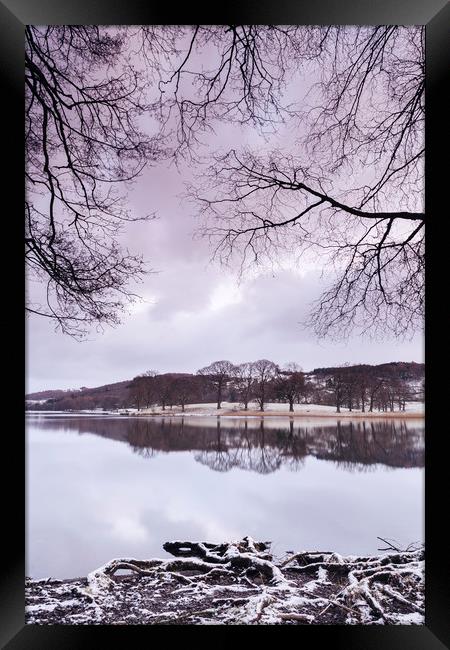 Snow and reflections on Esthwaite Water at dawn. C Framed Print by Liam Grant