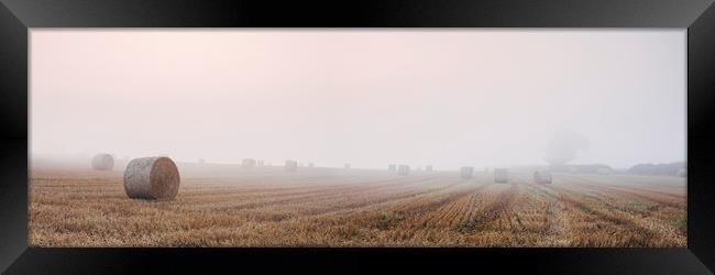 Round bales in a stubble field bound with fog at d Framed Print by Liam Grant