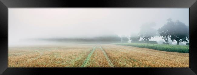 Dense fog over a stubble field at dawn. Norfolk, U Framed Print by Liam Grant