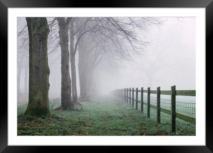 Fence beside an avenue of trees in fog. Norfolk, U Framed Mounted Print by Liam Grant