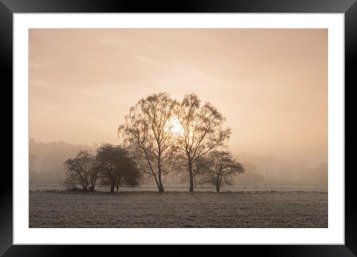 Sunrise through fog on a frosty morning. Santon Do Framed Mounted Print by Liam Grant