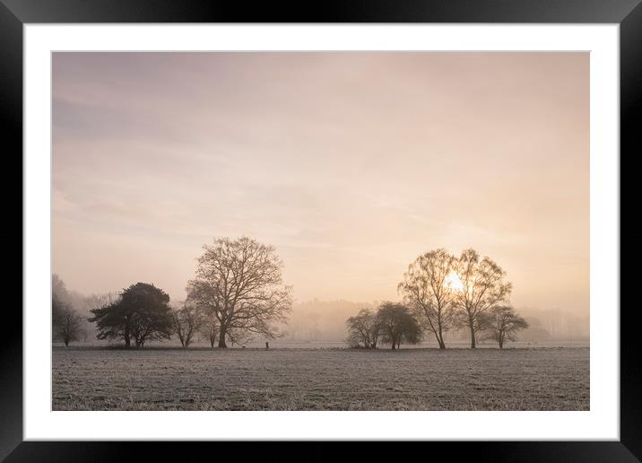 Sunrise through fog on a frosty morning. Santon Do Framed Mounted Print by Liam Grant