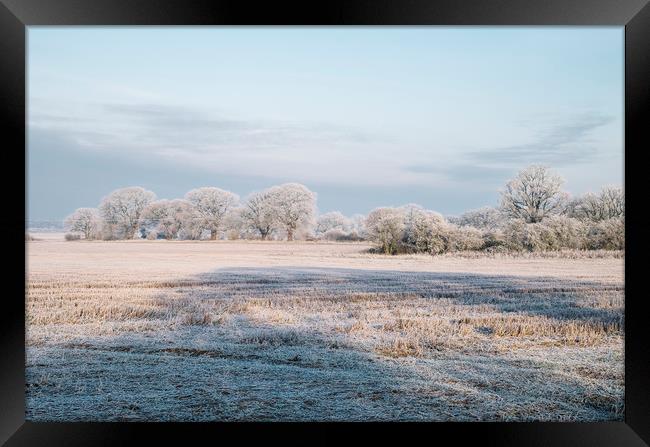 Rural scene covered in a thick hoar frost. Norfolk Framed Print by Liam Grant