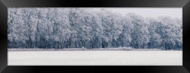 Edge of a woodland covered in a thick hoar frost.  Framed Print by Liam Grant