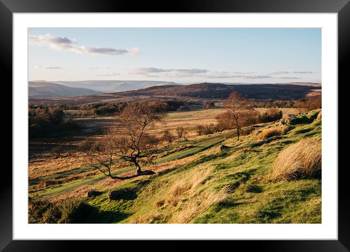Trees on a hillside at sunset. Upper Padley, Derby Framed Mounted Print by Liam Grant