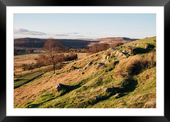 Trees on a hillside at sunset. Upper Padley, Derby Framed Mounted Print by Liam Grant