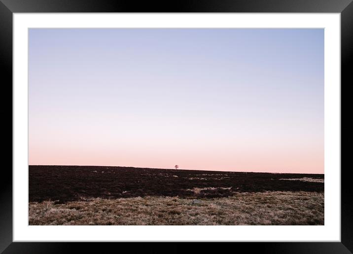 Lone tree on moorland at twilight. Derbyshire, UK. Framed Mounted Print by Liam Grant