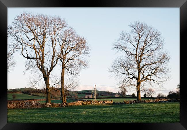 Trees and barns at sunset, above Matlock. Derbyshi Framed Print by Liam Grant