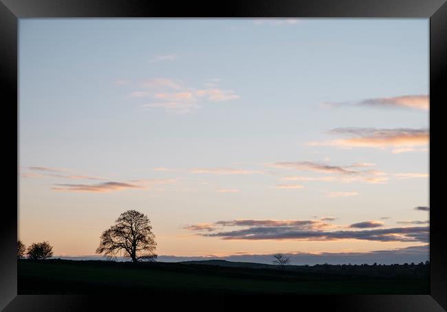 Tree on a hilltop above Matlock silhouetted at twi Framed Print by Liam Grant