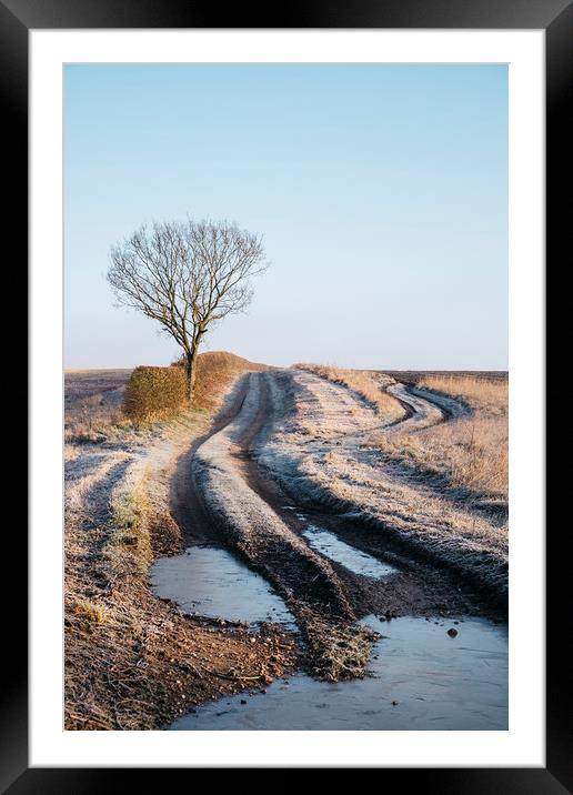 Tree, hedge and frost covered track beside a field Framed Mounted Print by Liam Grant