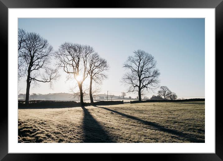 Sunrise behind trees on a frosty morning. Derbyshi Framed Mounted Print by Liam Grant