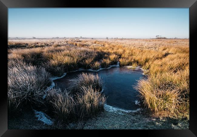 Frozen water and reeds lit by the sunrise. Beeley  Framed Print by Liam Grant