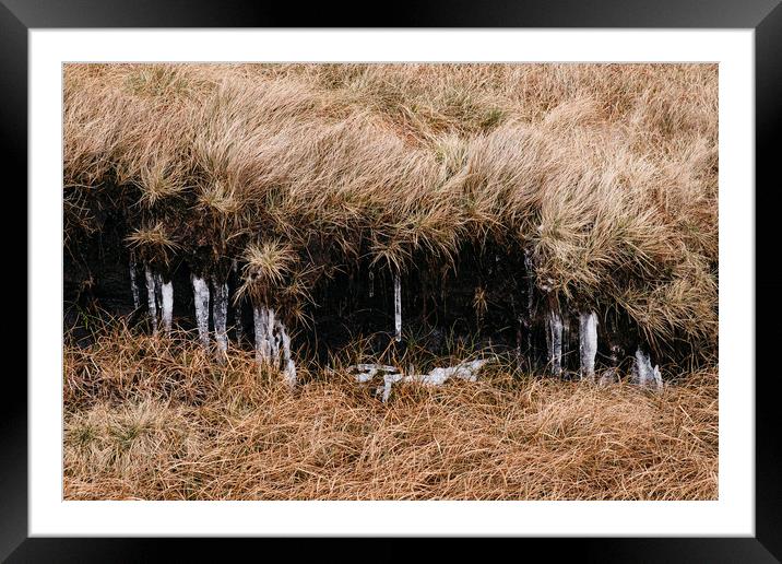 Frozen icicles among the peat and moorland grass.  Framed Mounted Print by Liam Grant