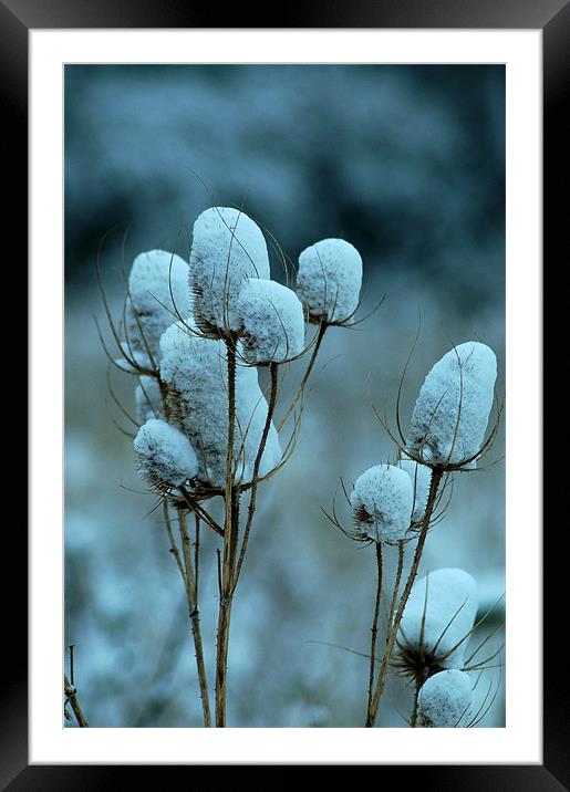Winter in Essex Framed Mounted Print by Mike Herber
