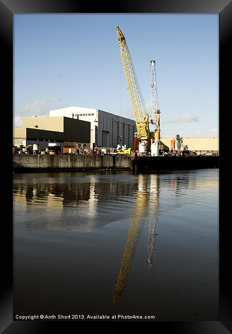 Cranes on the Wear Framed Print by Anth Short