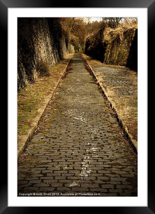 Cobbles Framed Mounted Print by Anth Short