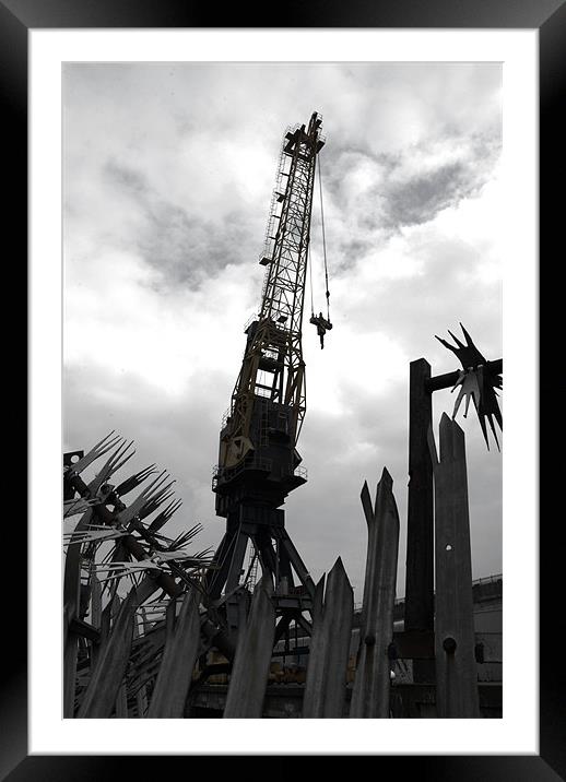 Cranes Framed Mounted Print by Anth Short
