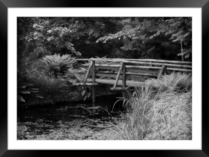 WOODLAND BRIDGE Framed Mounted Print by Anthony R Dudley (LRPS)