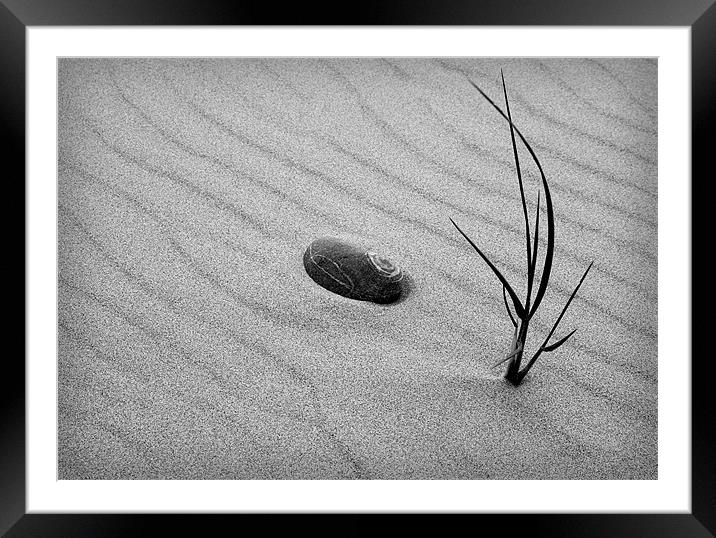 SAND GRASS Framed Mounted Print by Anthony R Dudley (LRPS)