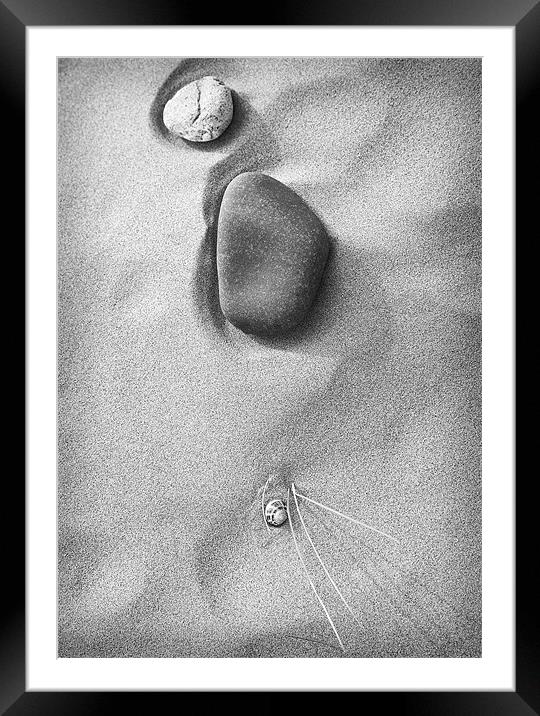 SAND ROCK AND SNAIL Framed Mounted Print by Anthony R Dudley (LRPS)