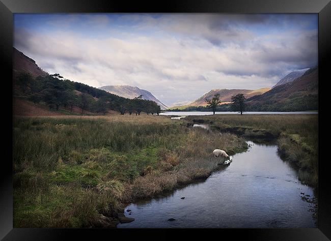 EARLY AUTUMN BUTTERMERE Framed Print by Anthony R Dudley (LRPS)