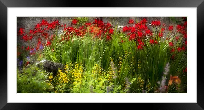 THE COTTAGE GARDEN Framed Mounted Print by Anthony R Dudley (LRPS)