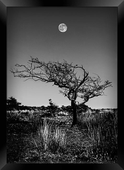 FULL MOON OVER EXMOOR Framed Print by Anthony R Dudley (LRPS)