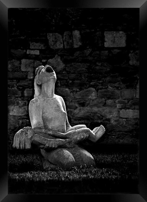 THE CRY Framed Print by Anthony R Dudley (LRPS)