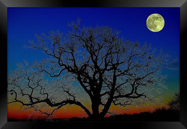 Moonlight Framed Print by stephen walton