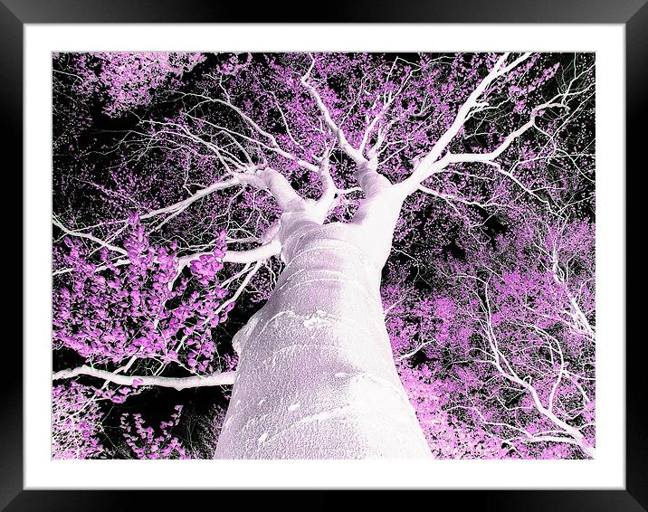 Psychedelic Tree Framed Mounted Print by stephen walton