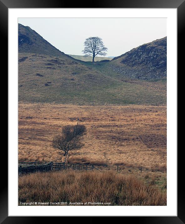 Sycamore Gap, Northumberland Framed Mounted Print by Howard Corlett