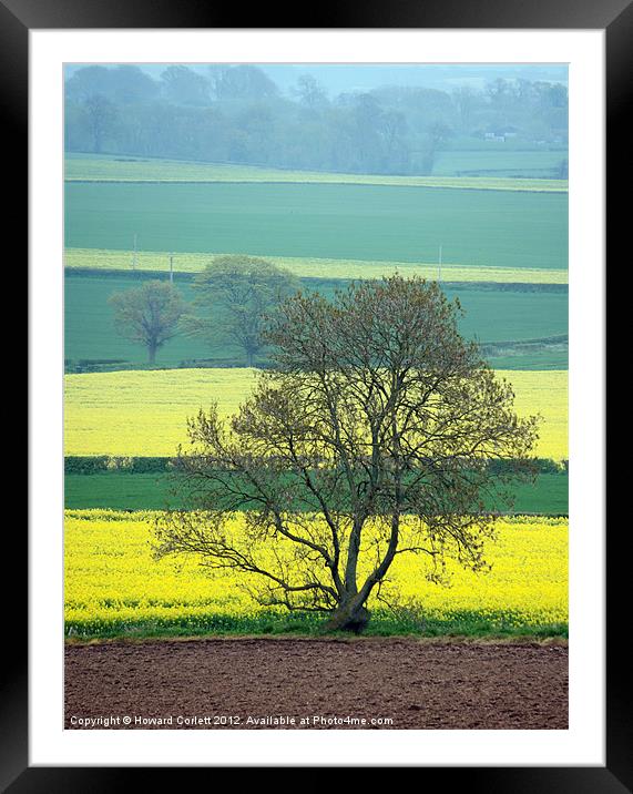 Bands of colour 2 Framed Mounted Print by Howard Corlett